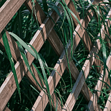 Деревянный штакетник