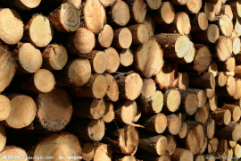 Порядок заготовки древесины