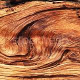 Что представляет собой краска «жидкое дерево»?